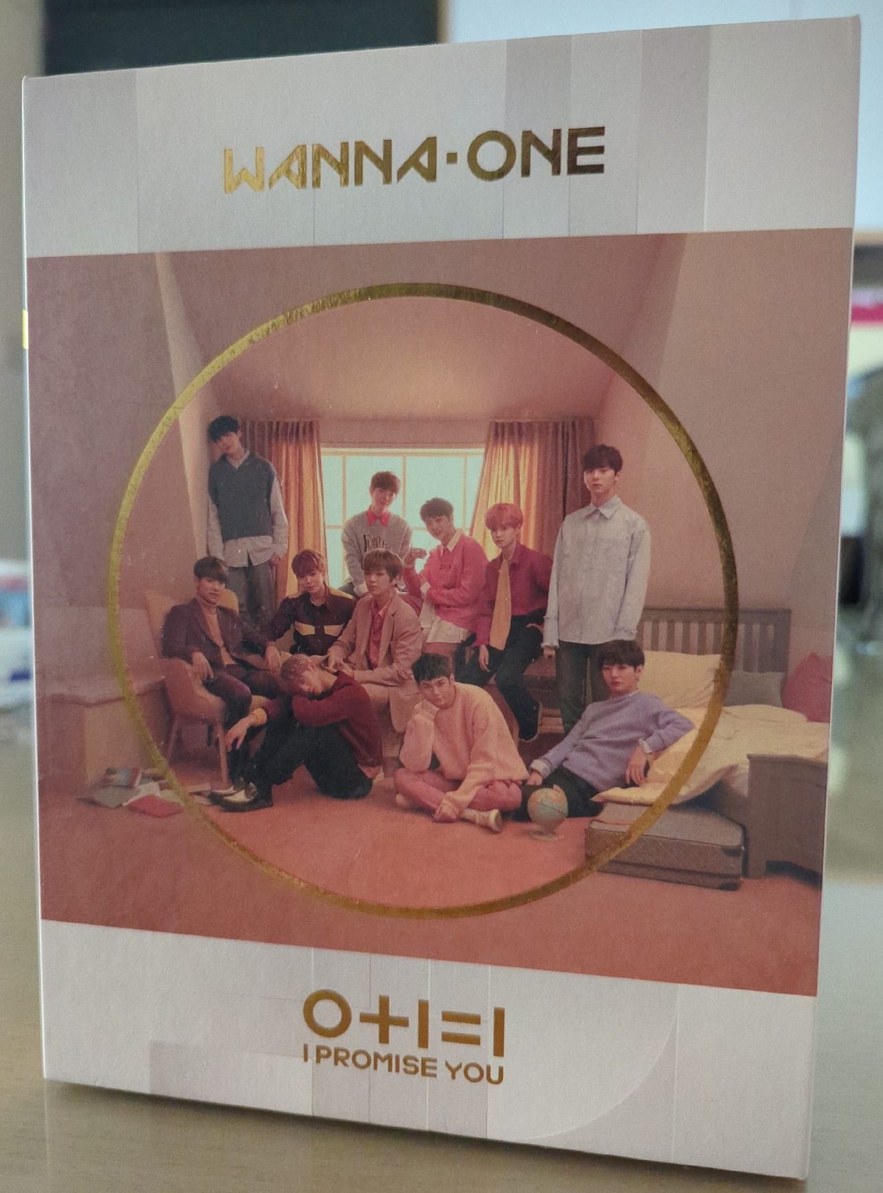 Wanna One 空專