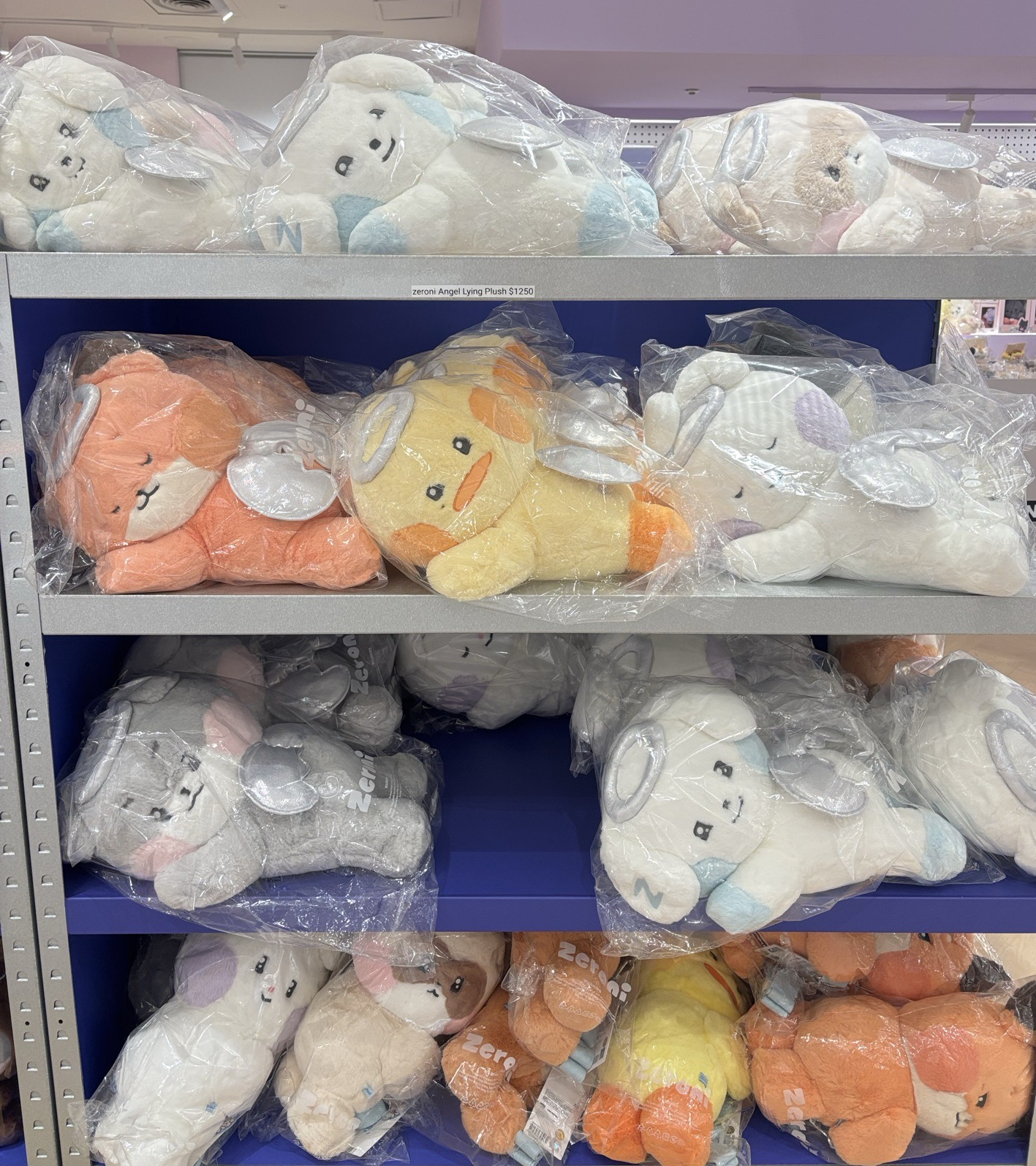 少量預購昊天使