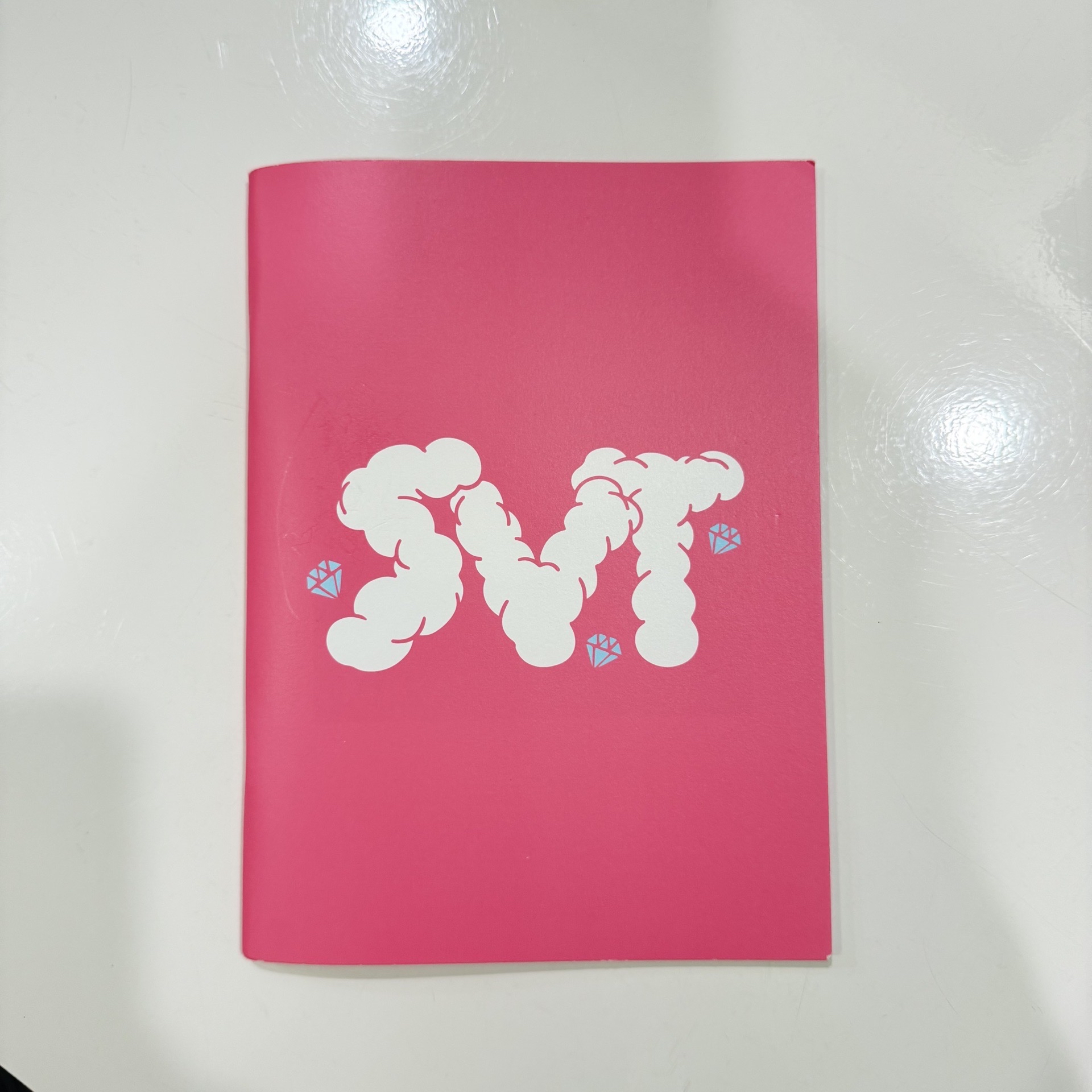 SEVENTEEN｜NANA bnb 民宿 回憶錄 寫真書(粉)