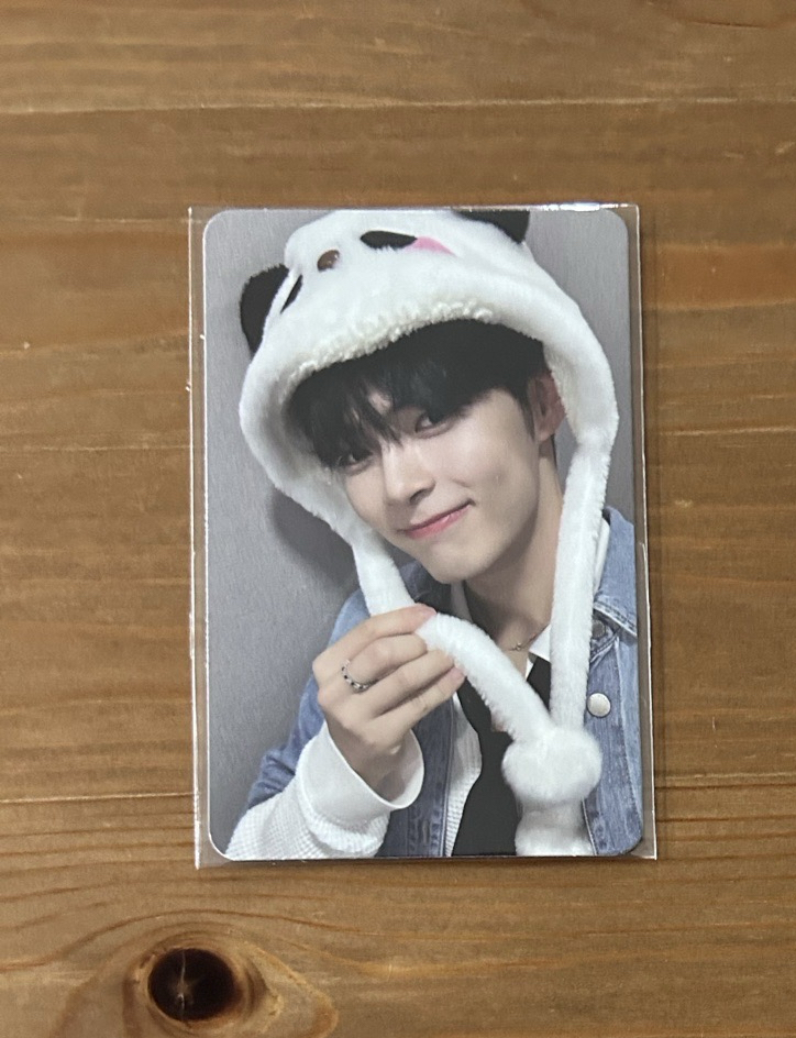 ZEROBASEONE 成韓彬 迷一熊貓特典