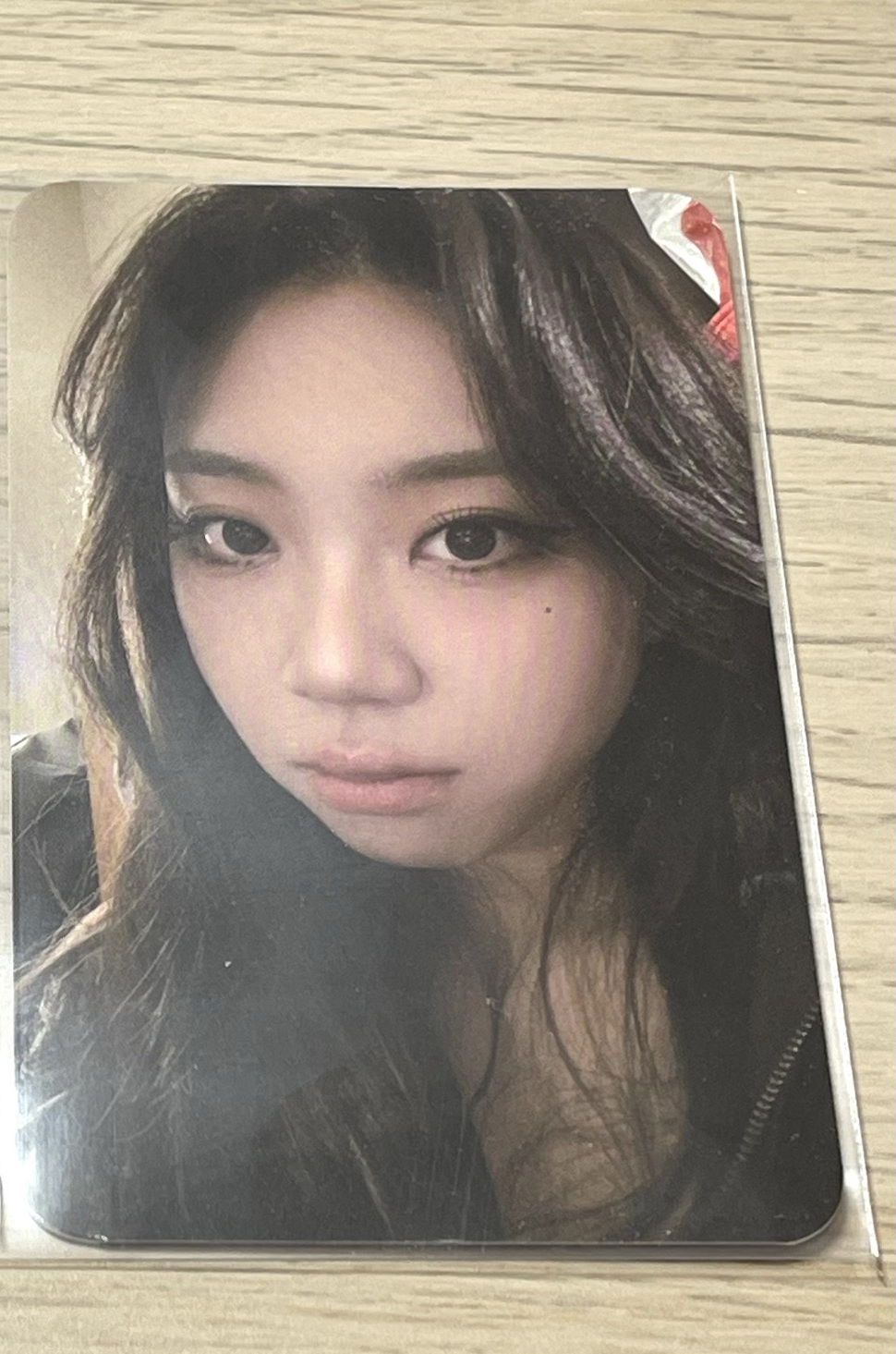 高雄櫻花季 泳知小卡