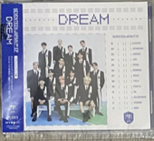 dream 閃盤