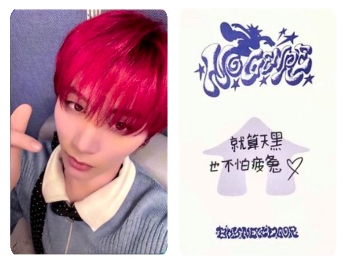 ✨泰山 上海簽售一直娛【可直拍】