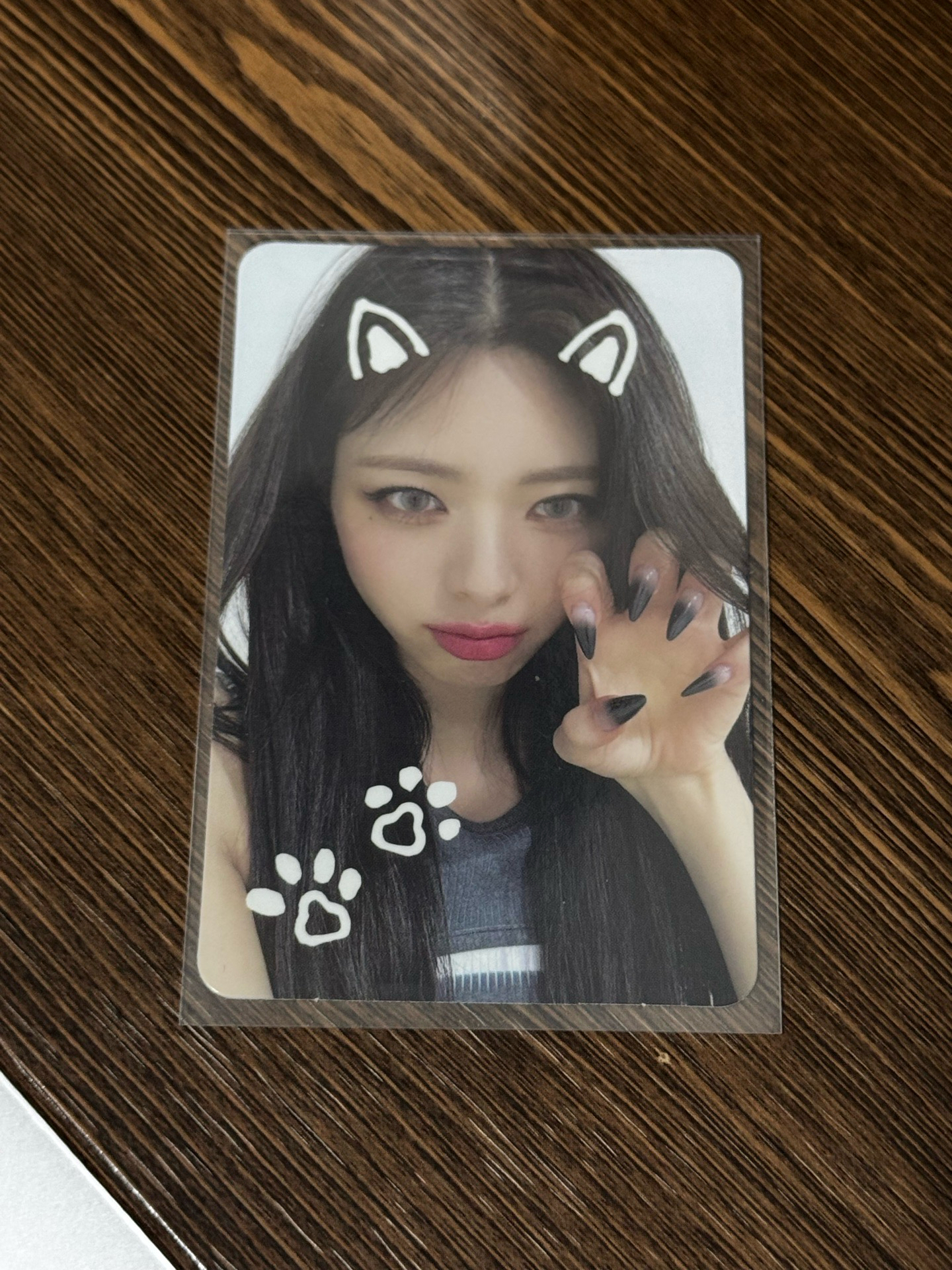 CHESHIRE ms 1.0 幸運卡 