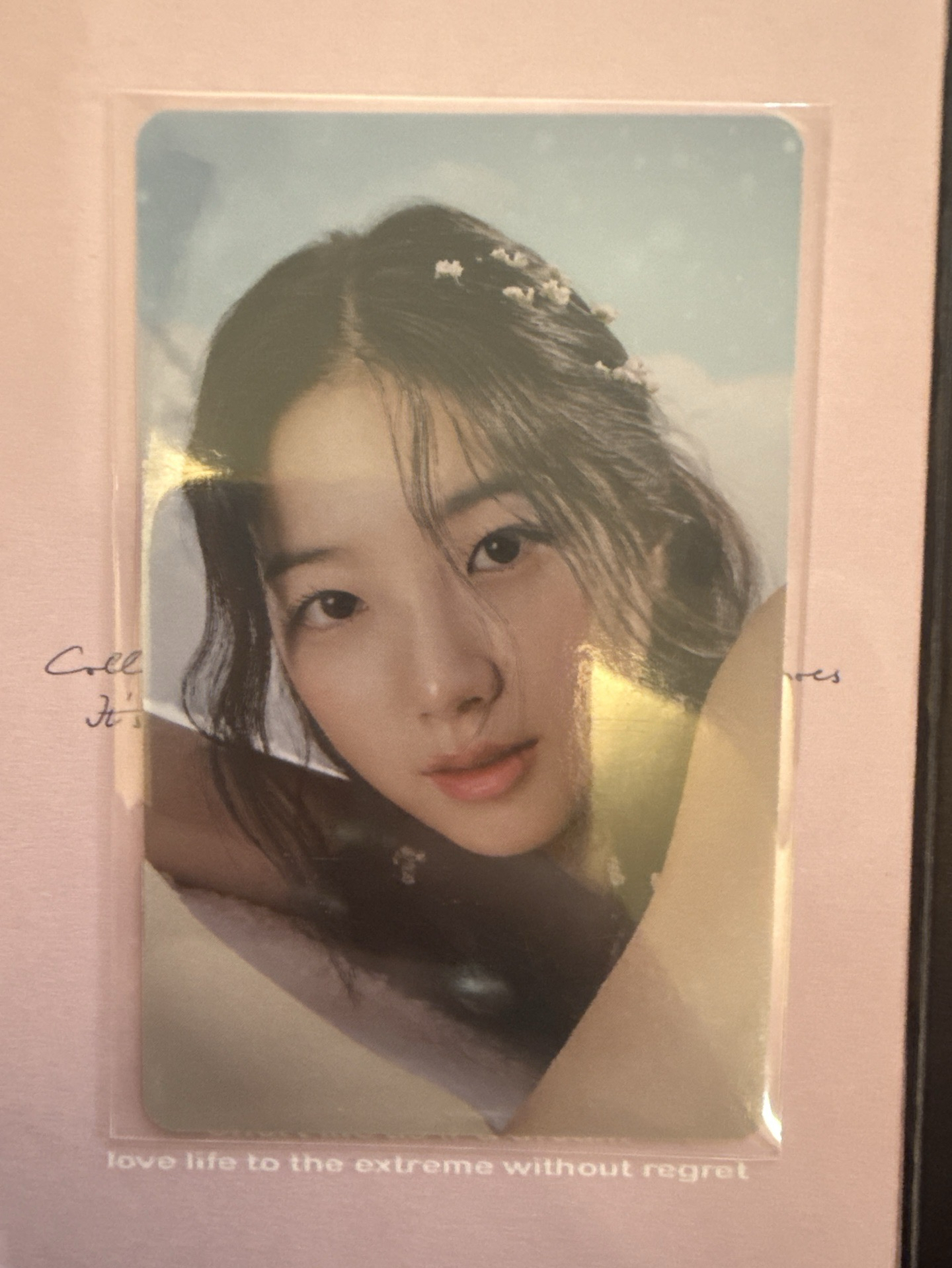 ANTIFRAGILE wvs 特典卡 單封預售特典