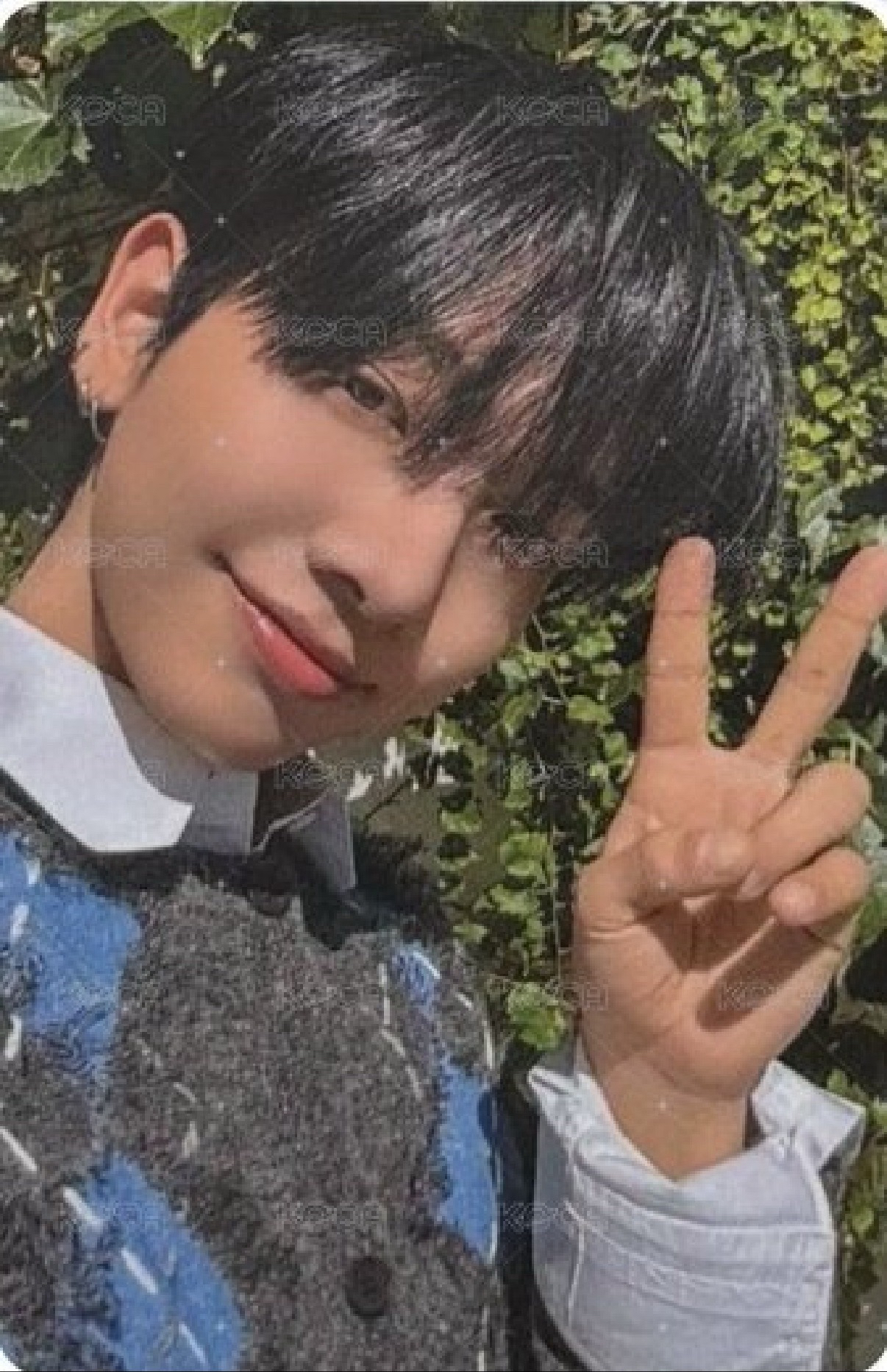 The Action am 預售 特典卡 3