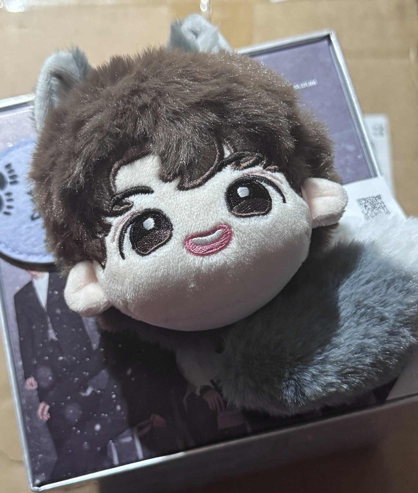 時團三專｜劉耀文糰子+專輯無卡全