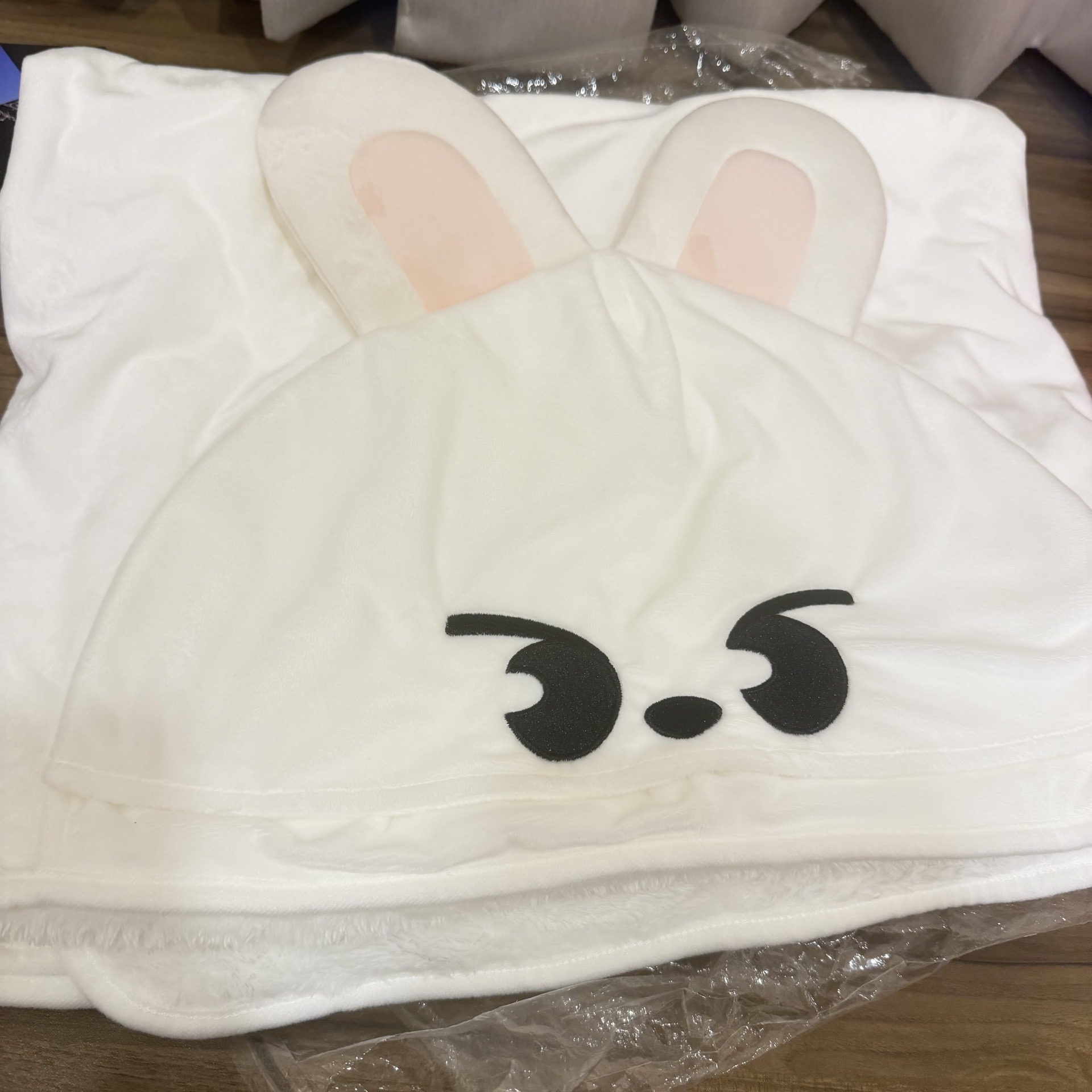 SKZOO Leebit 李畢 日本 聖誕快閃 毛毯 SKZ