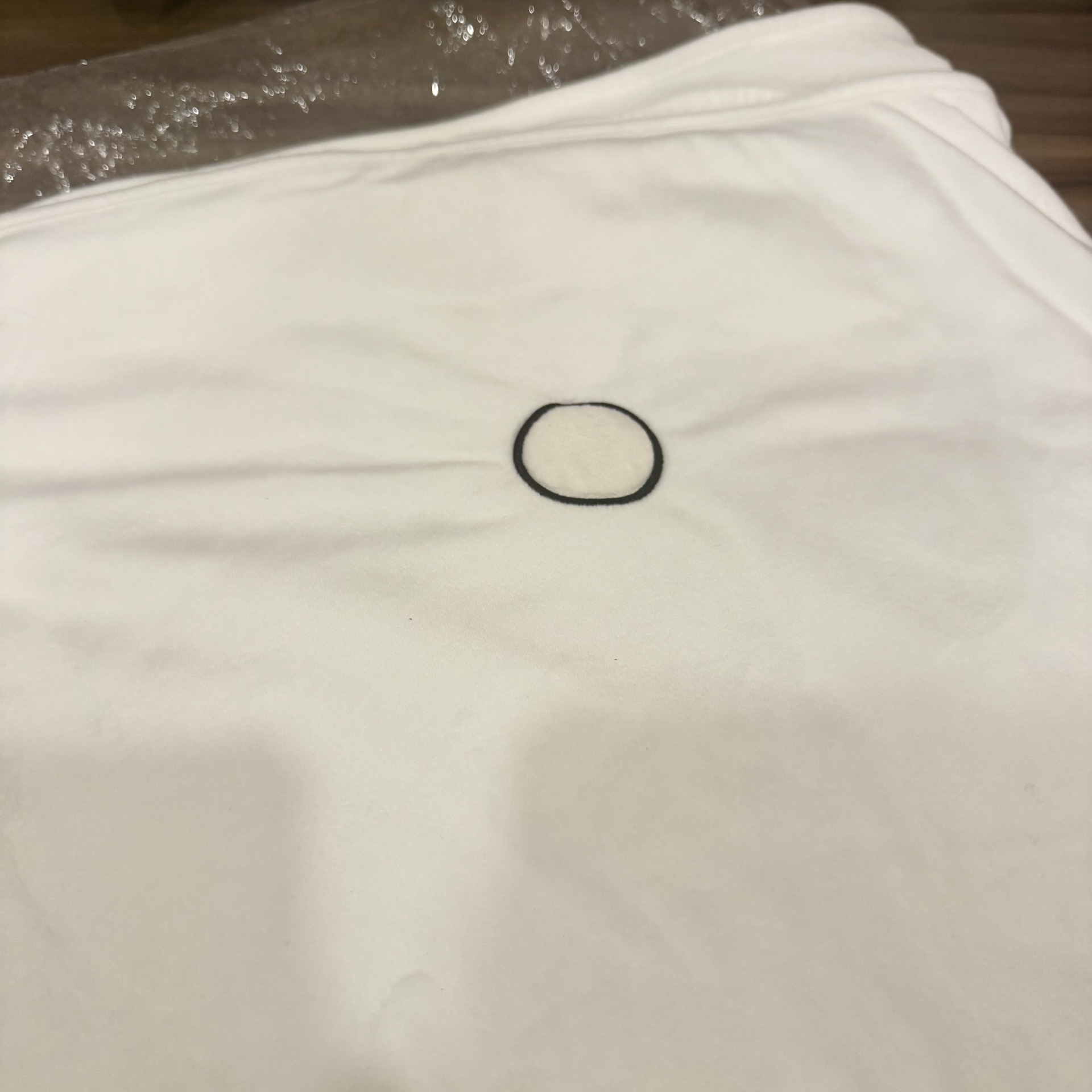 SKZOO Leebit 李畢 日本 聖誕快閃 毛毯 DKZ