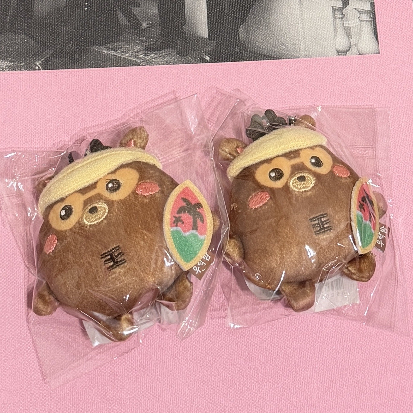 RIIZE 首爾場週 夏日烏拉鹿 riizing loud