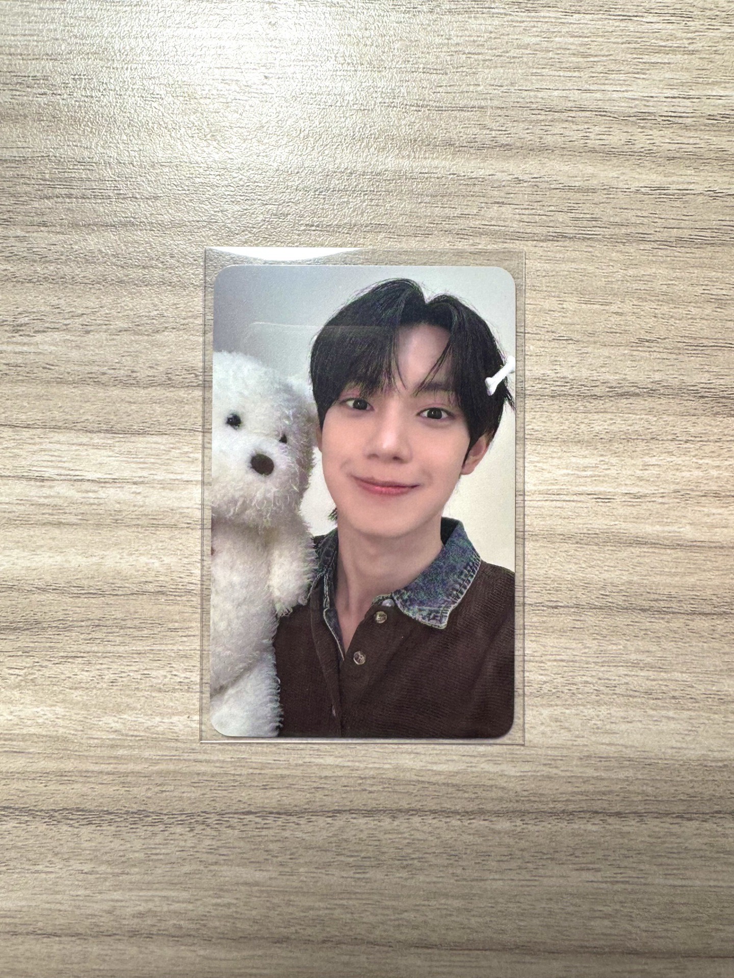 Sweet DREAM hl 簽售卡 白狗