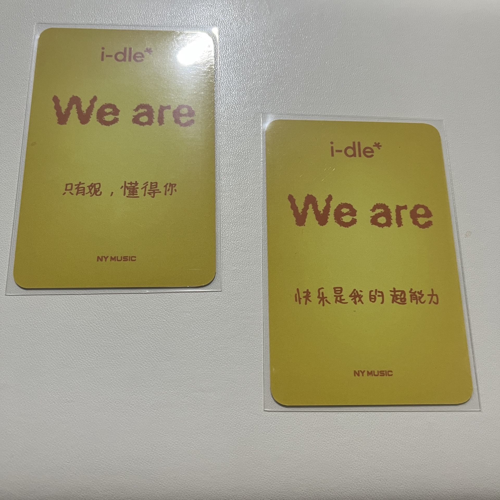 琦妮 楠藝上海線下（中文卡背）