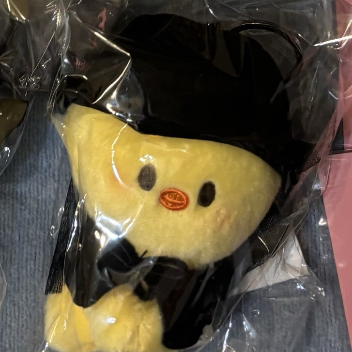  COSTUME MAGNET PLUSH KEYRING -BbokAri需帶兩張燦或彬卡