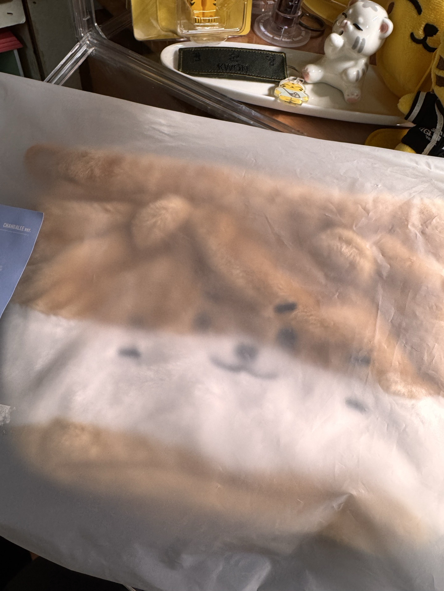 MINITEEN Dino 燦束口袋