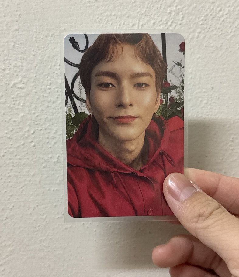 迷二紅衣貝多芬頌（有廠損）