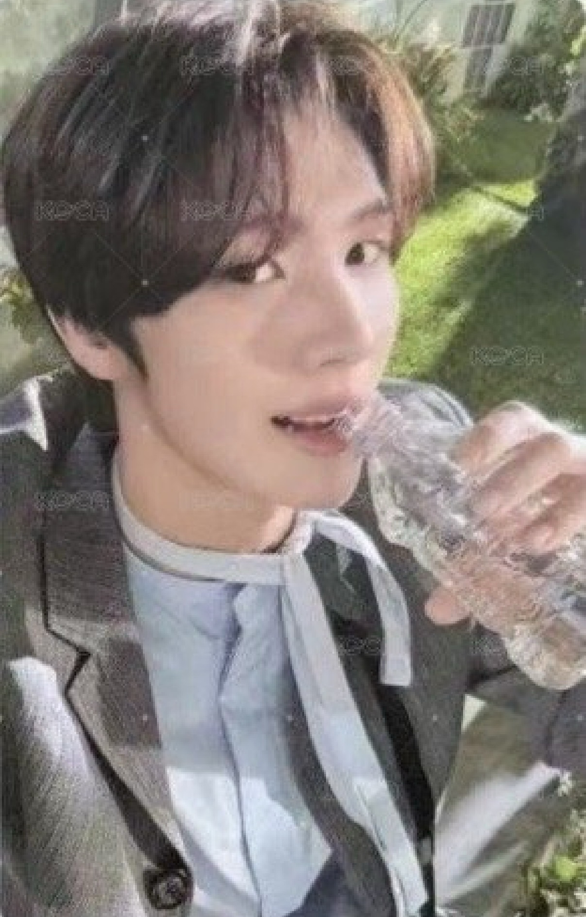 數位單曲 wvs 簽售卡 