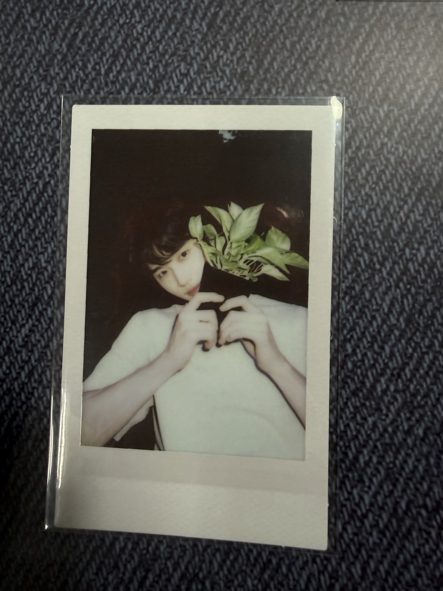 25年曆舉花盆邊