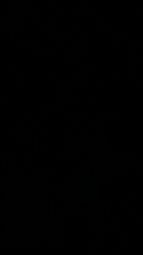 超蓬鬆吉娃娃👅👅