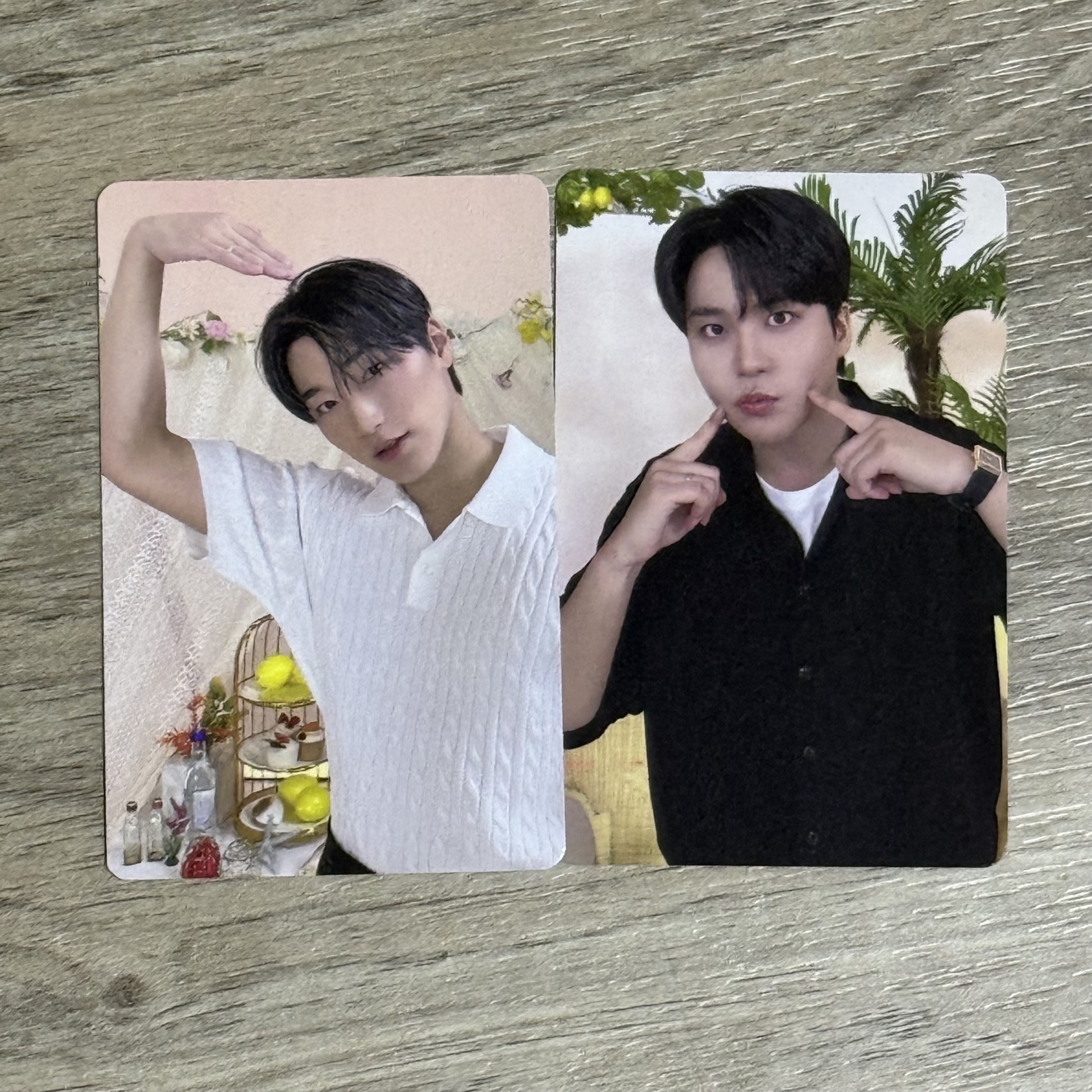 mighteez滿額 崔崔兄弟