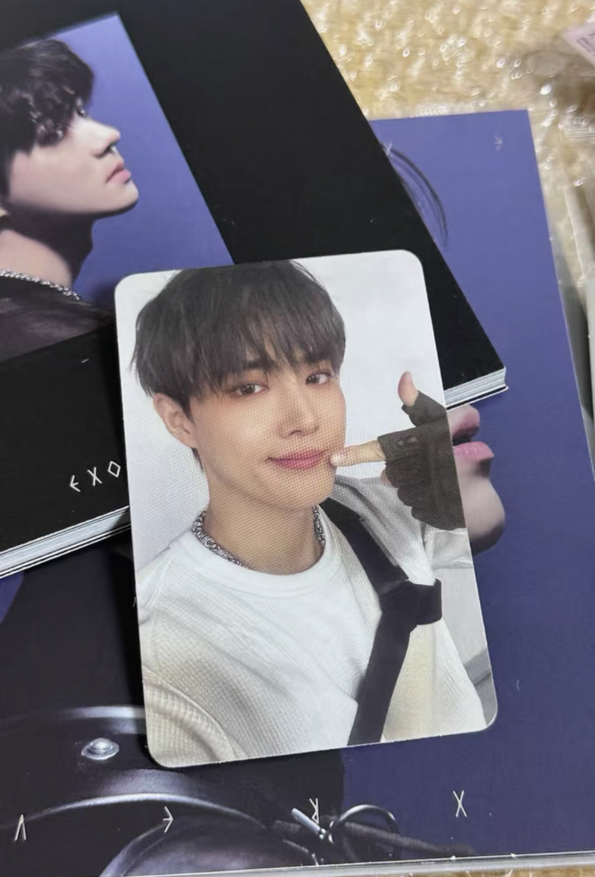 勳🐤單封+勉🐰專卡