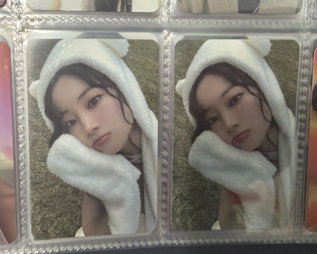 迷 13 專卡 小熊多