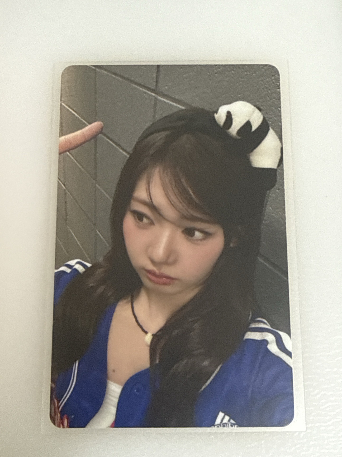 一天內出貨 熊貓茶