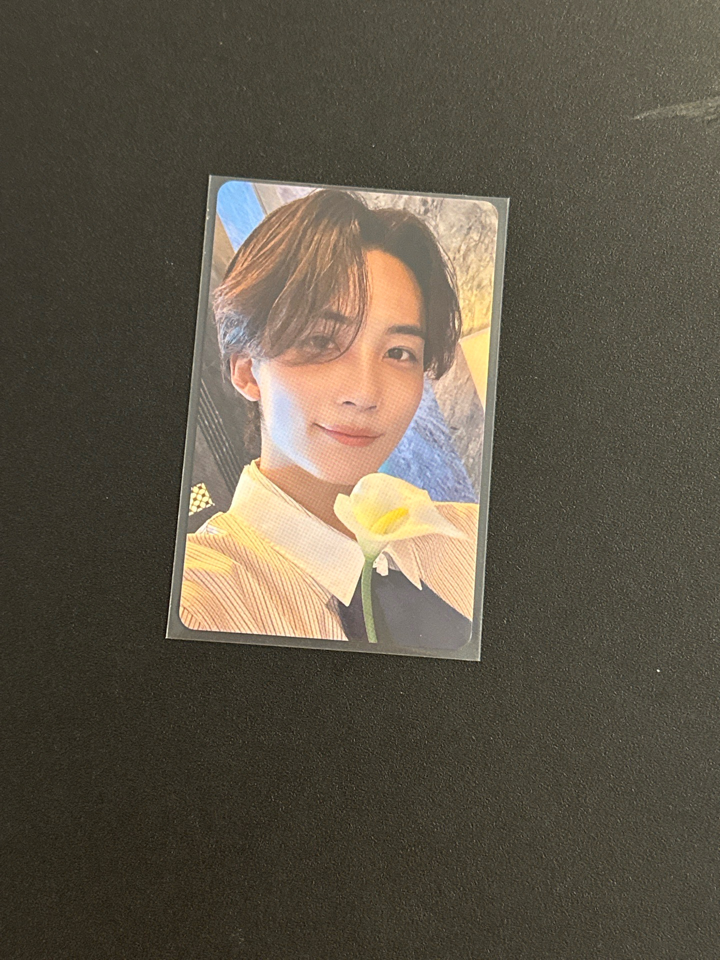 svt dream入場卡 漢