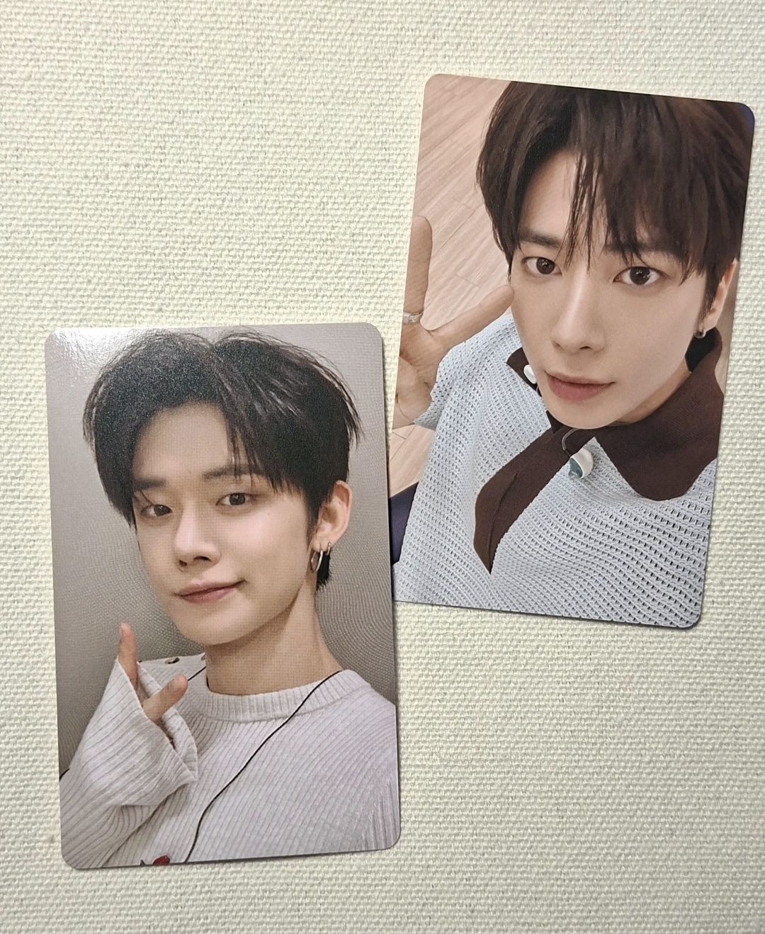 兩隻小貓喵喵喵