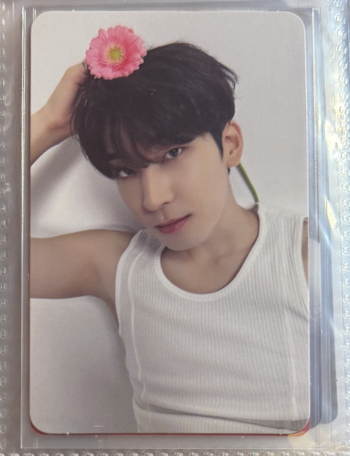 精選專 克拉盤專卡