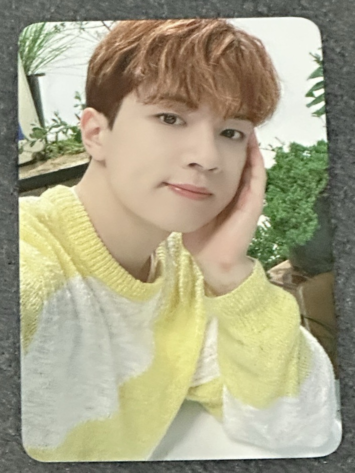 正規一改版 el 特典卡 柳會勝 特典卡