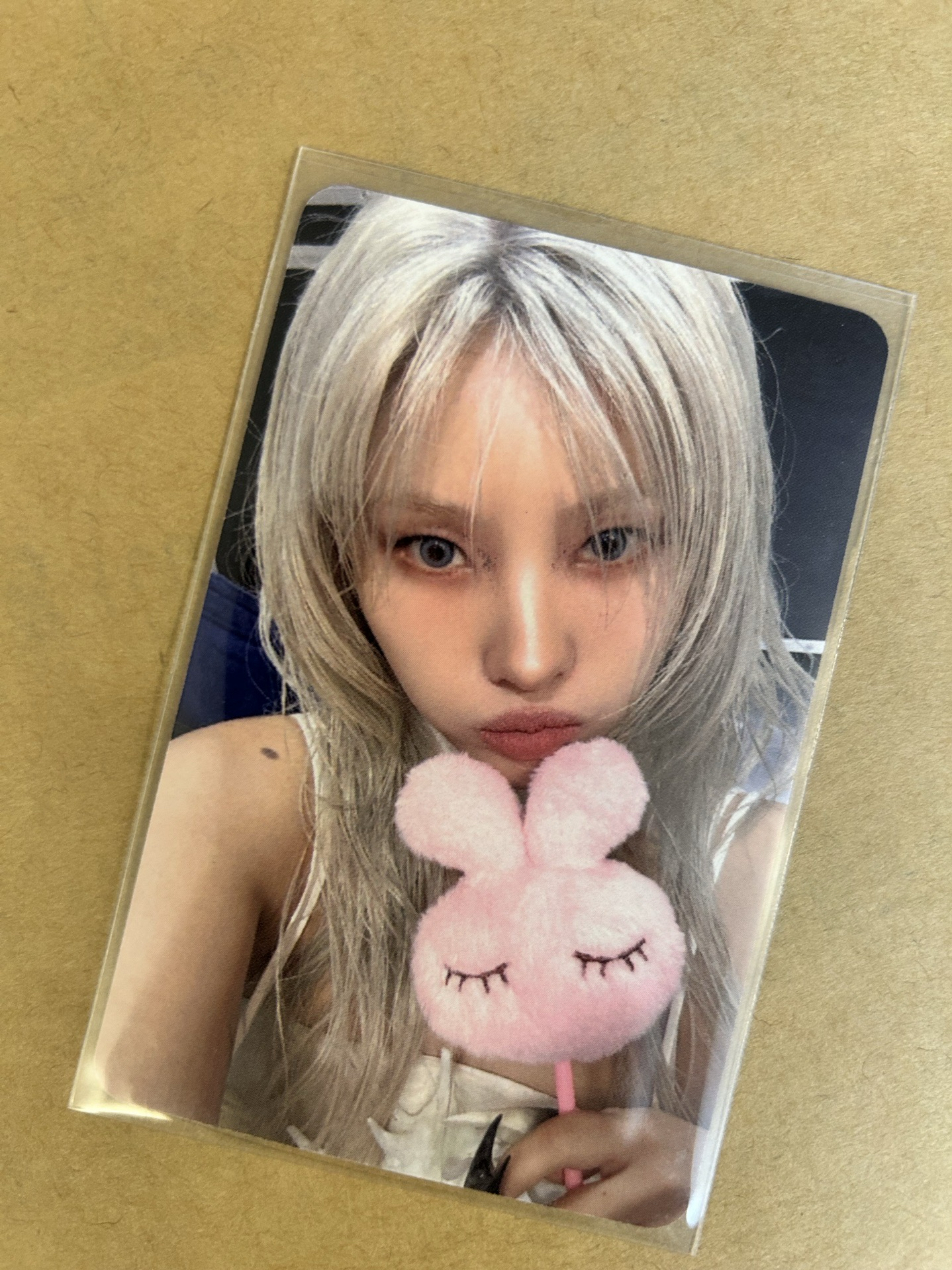 We are 小娟 特典卡