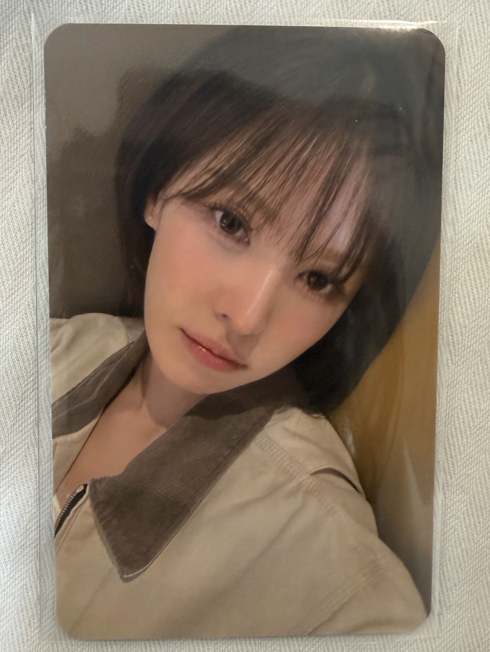 WENDY櫻花季入場卡