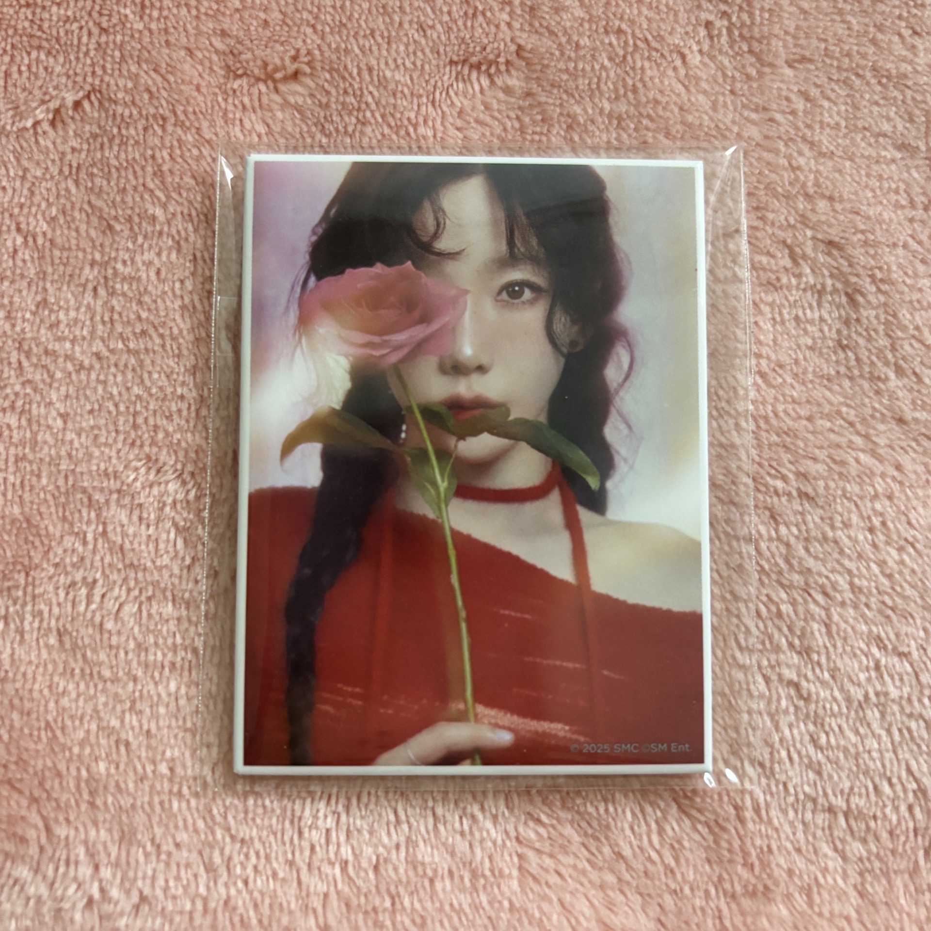 The TENSE 日場 扭蛋盲盒 徽章