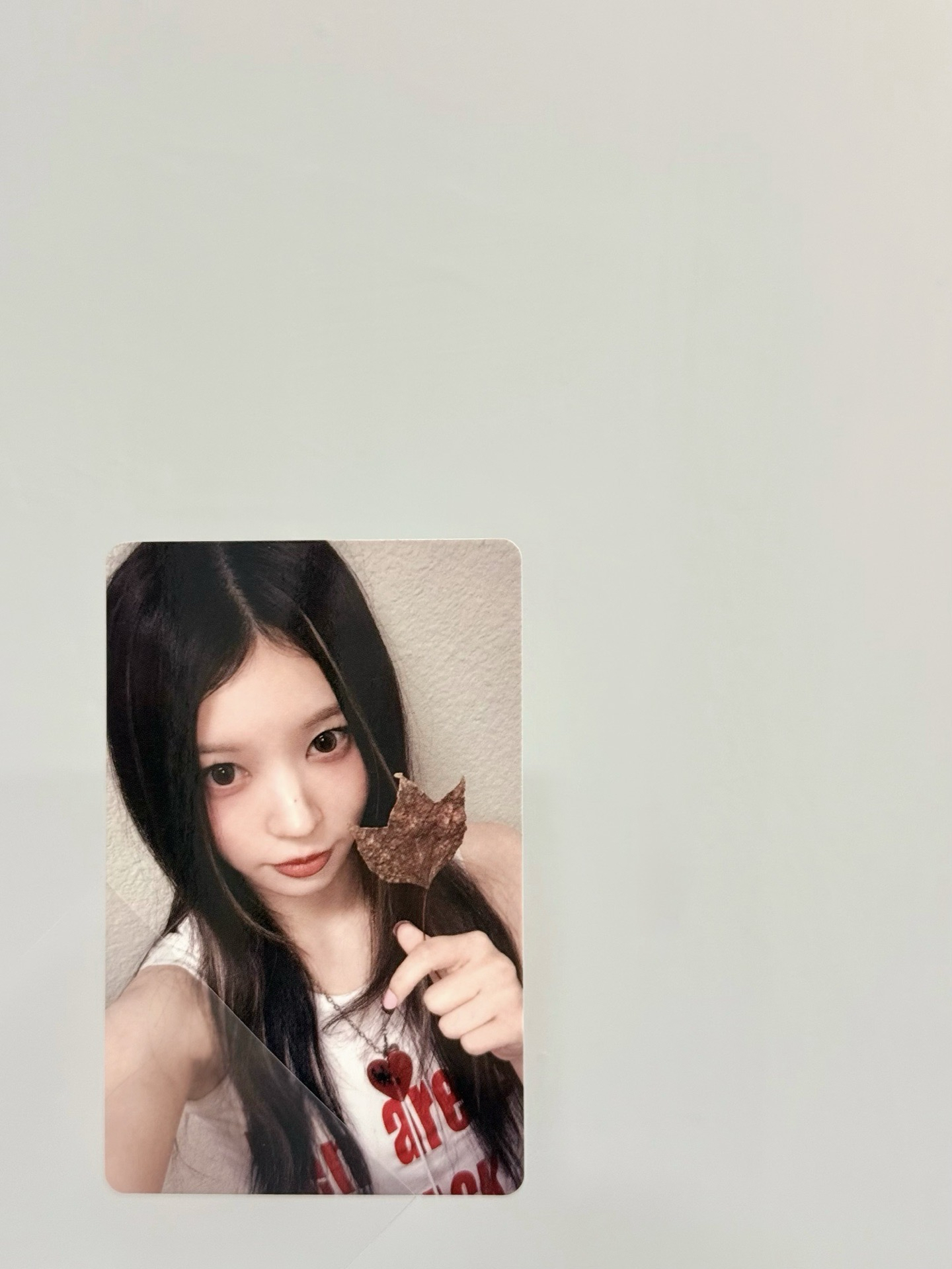 MOKA 單曲一輯 一直娛楓葉VER.