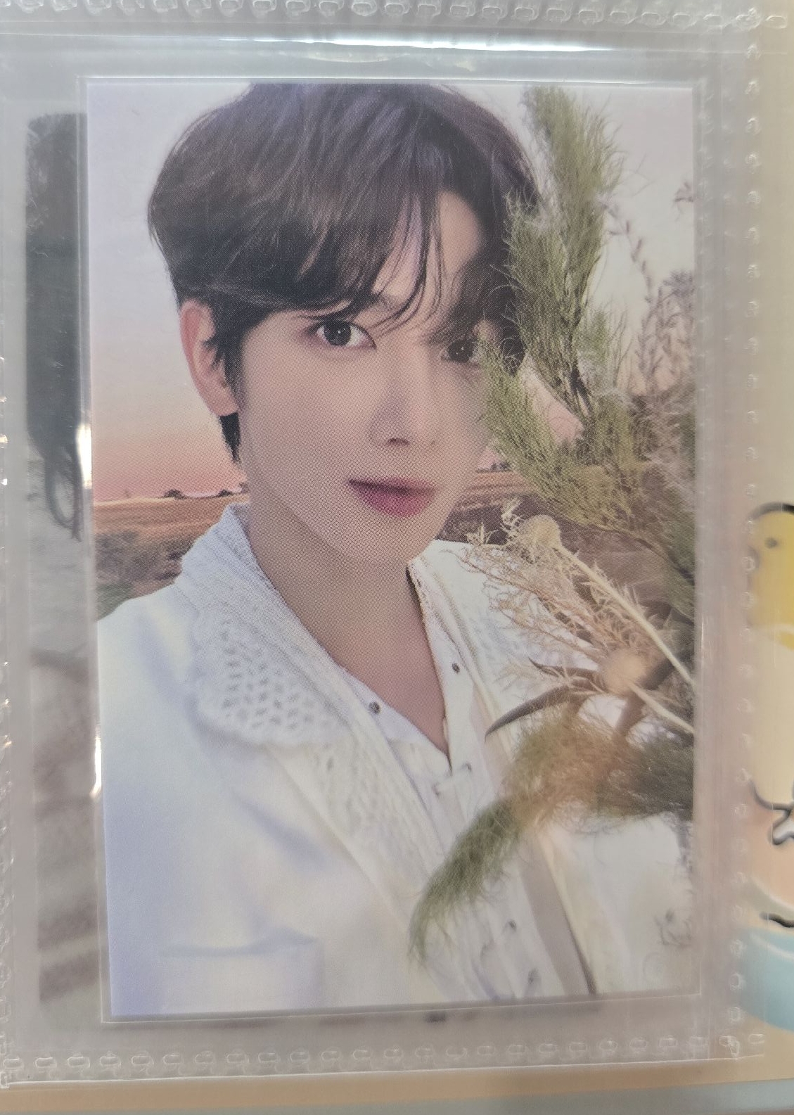 🩵24年臺場粽卡顯