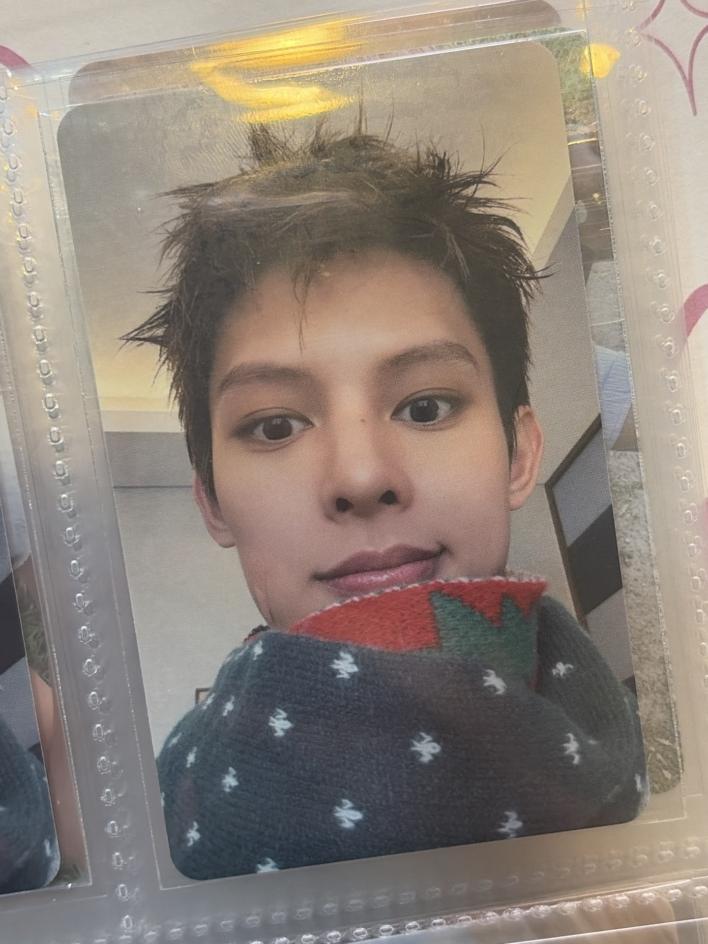 💝對著你微笑的小凡咪