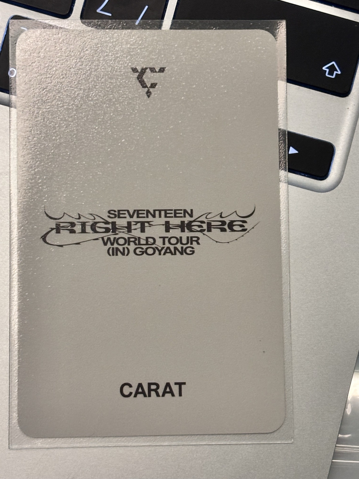 seventeen svt dino 李燦 高陽場克拉粽