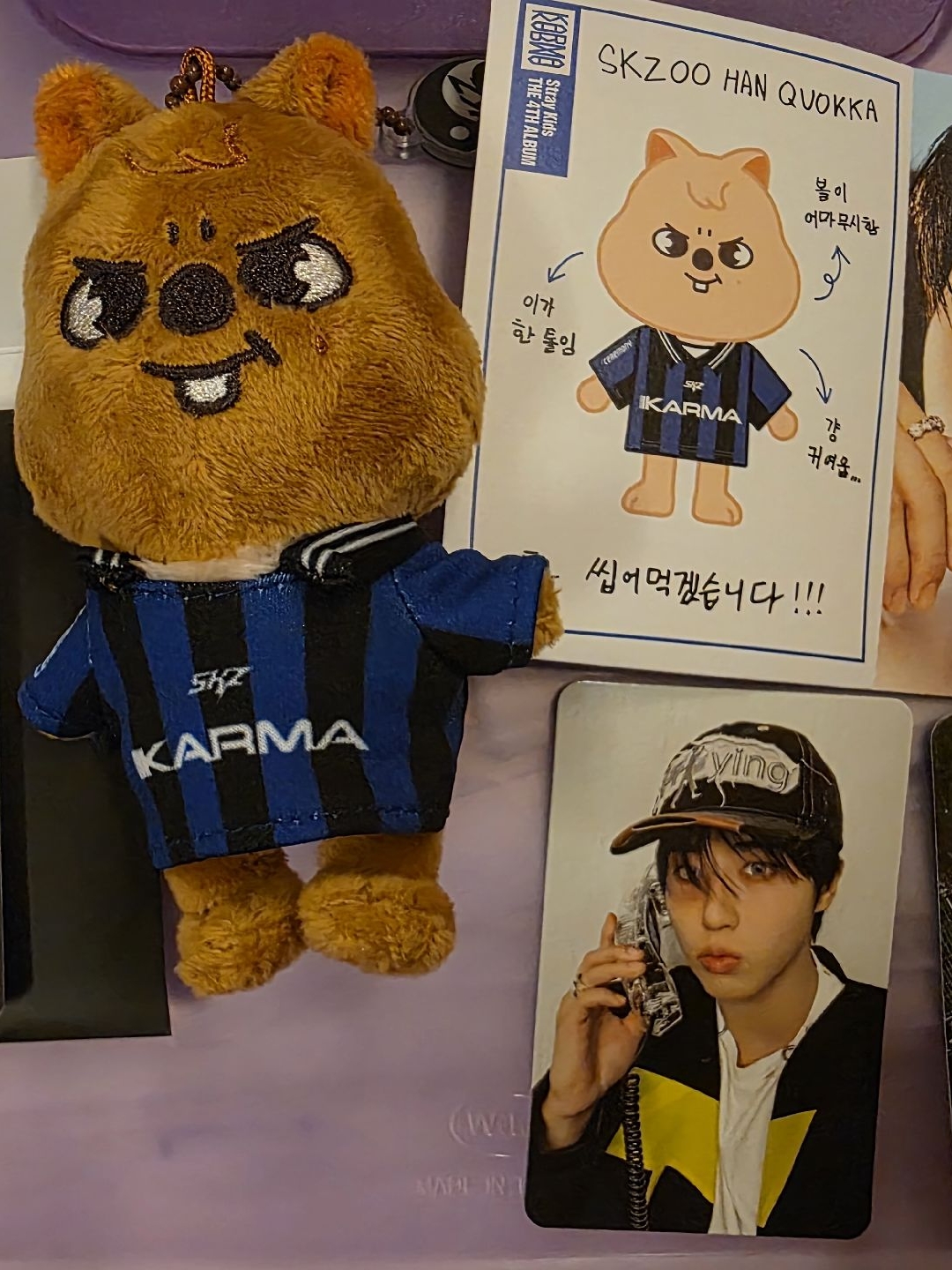 KARMA 電子專全專-全新未掃