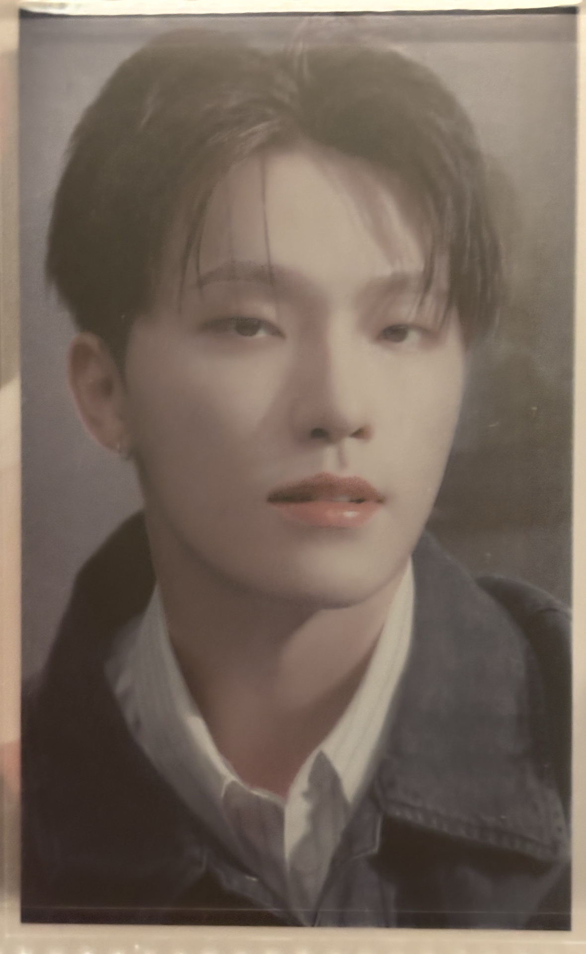 seventeen 消費期限 李燦 dino 蔦屋特典卡