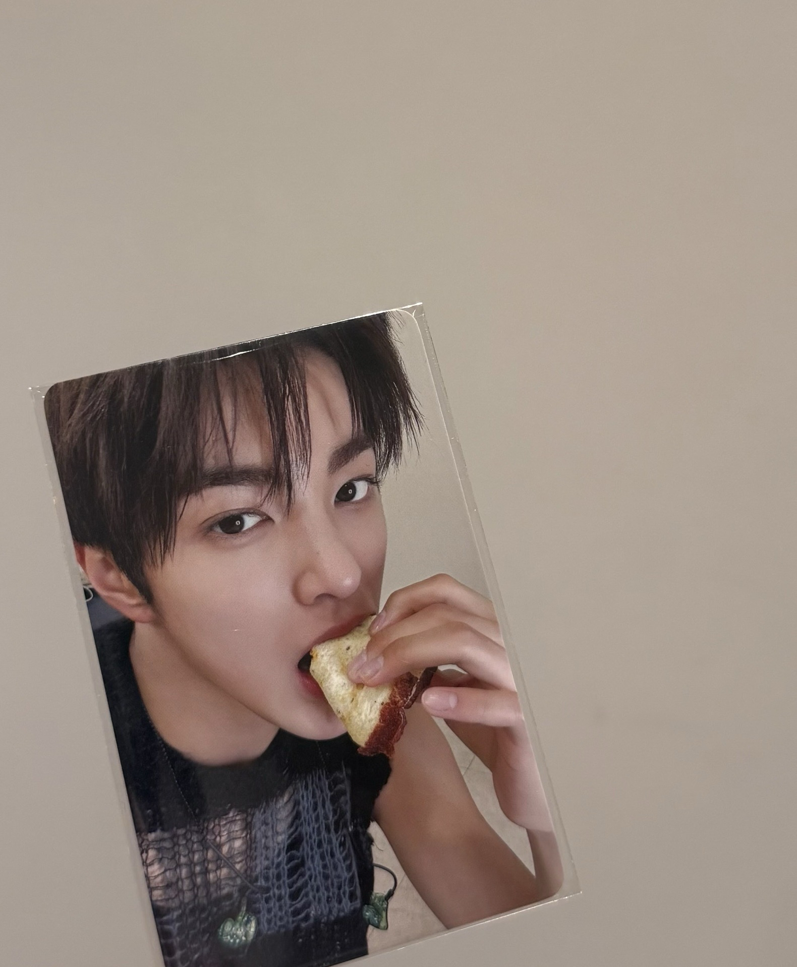 Cortis 日咖幸運卡鎬 現貨當日寄出