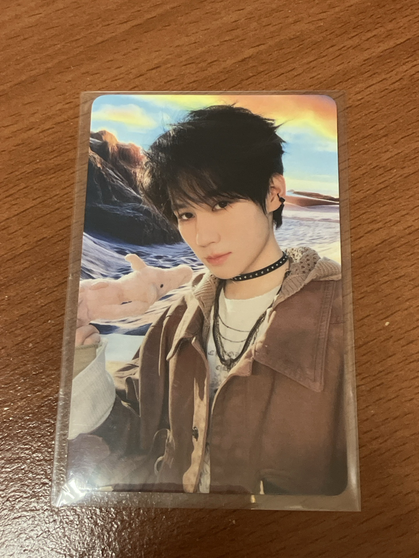 張真源秋日團固