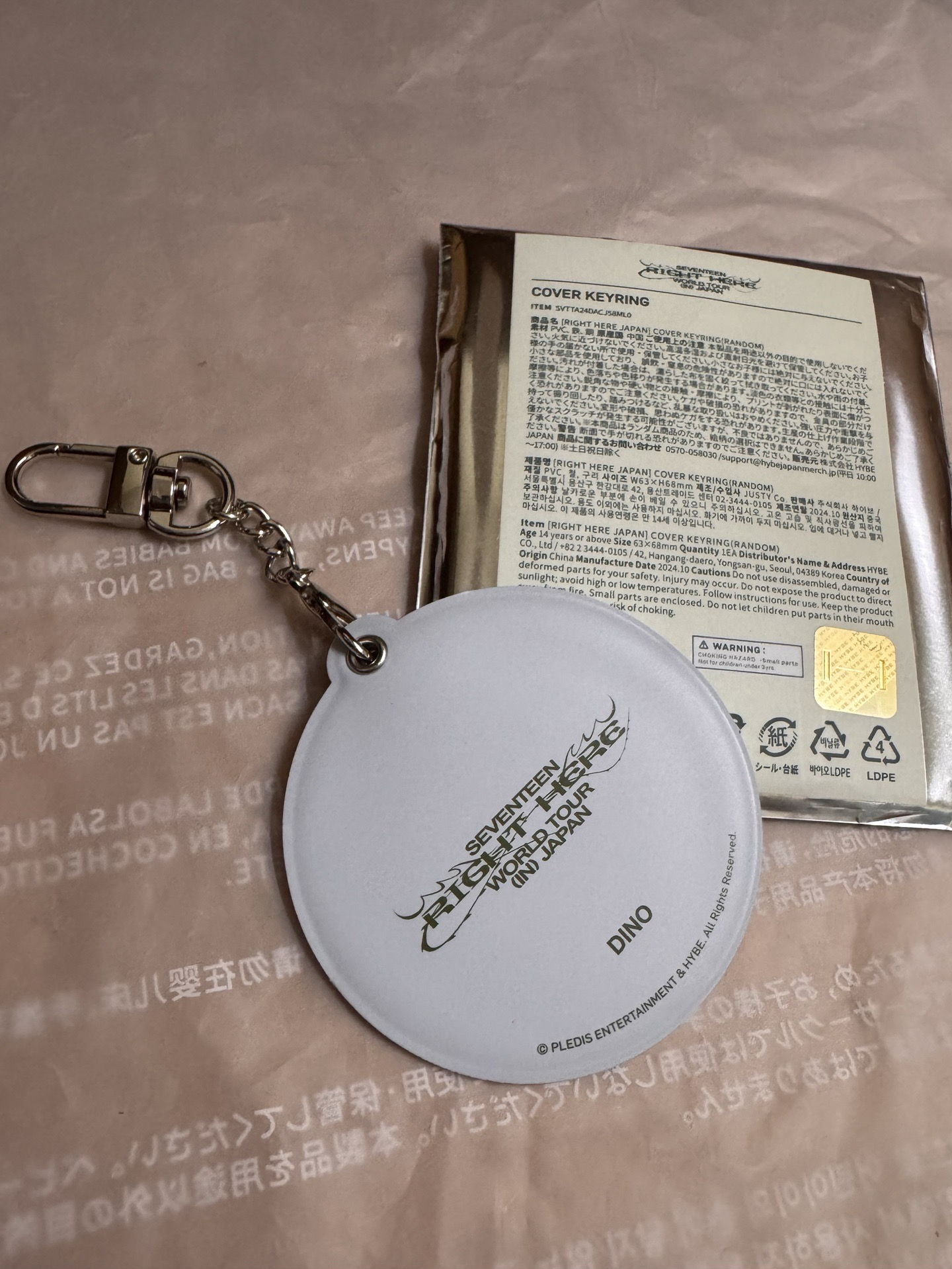 RIGHT HERE 小扇套 鑰匙圈吊飾 燦 Dino