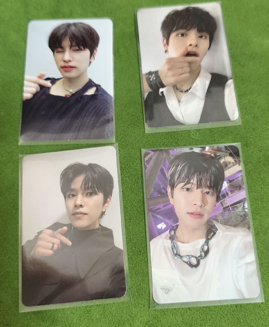 汪汪汪汪（4張不拆）