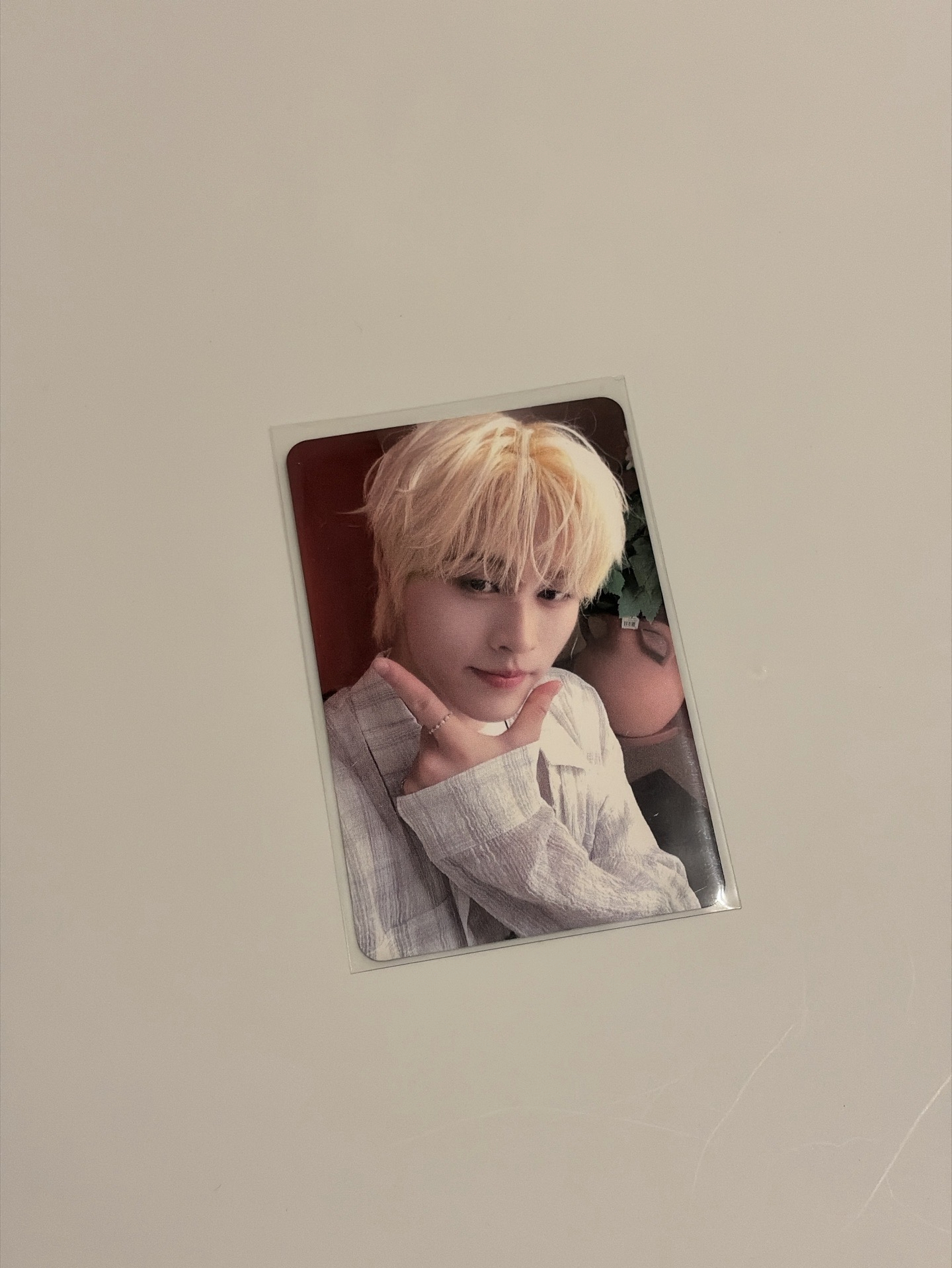 SEVENTOEIGHT 728 M 鄭美祥 微樂客 特典 小卡 出道零距離見面會