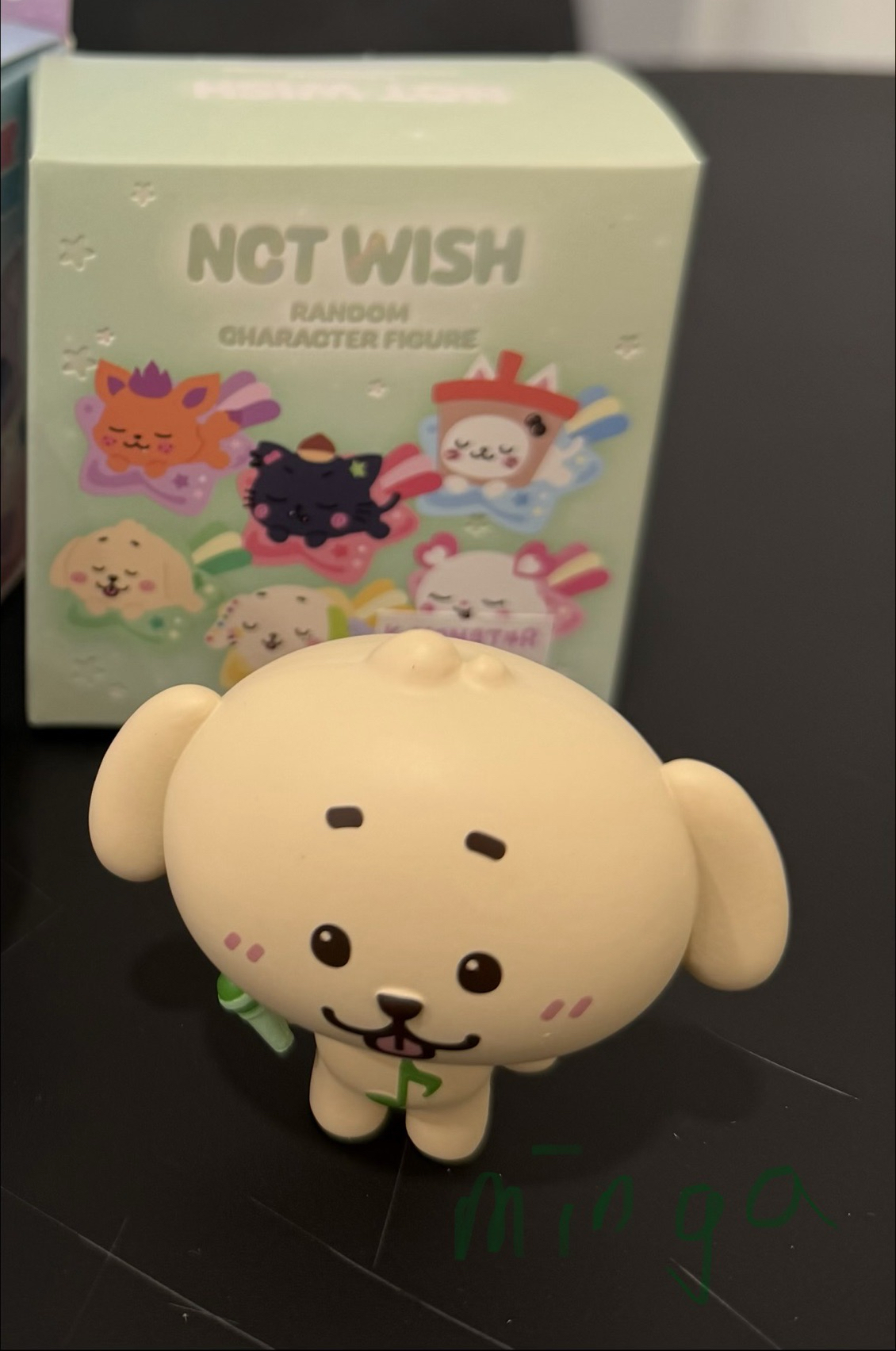 NCT WISH 隨機盲盒 叮特里公仔