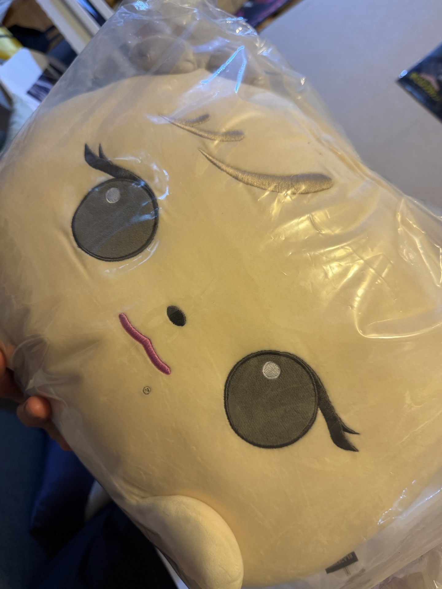 肉秀抱枕、秀大娃