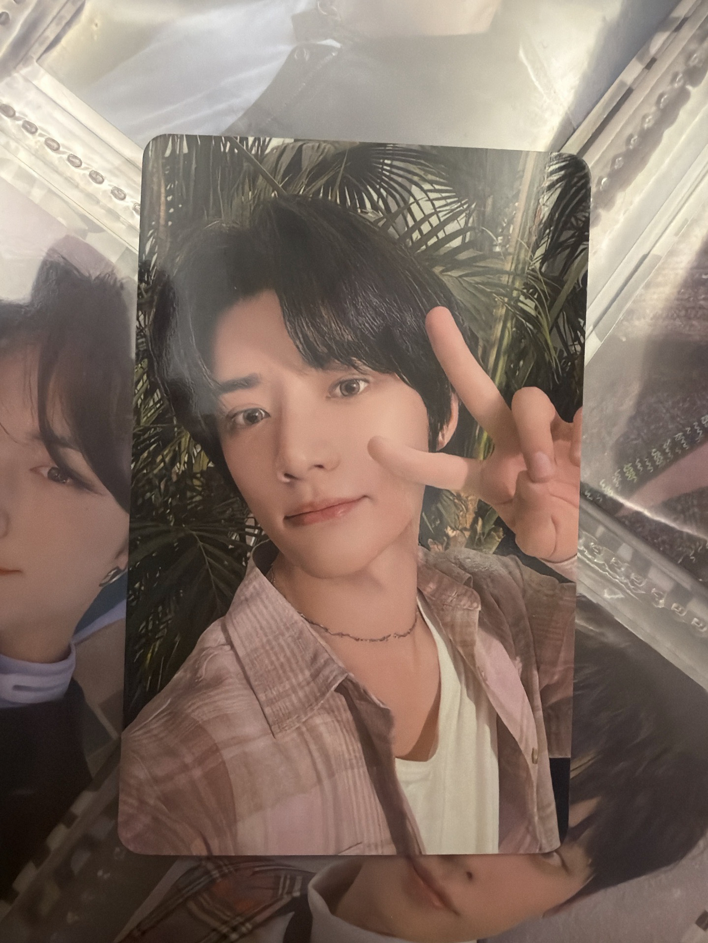 杋事順利圭 中背