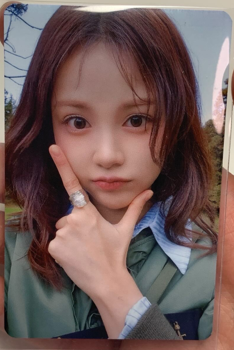 The Chase MS預售 Carmen