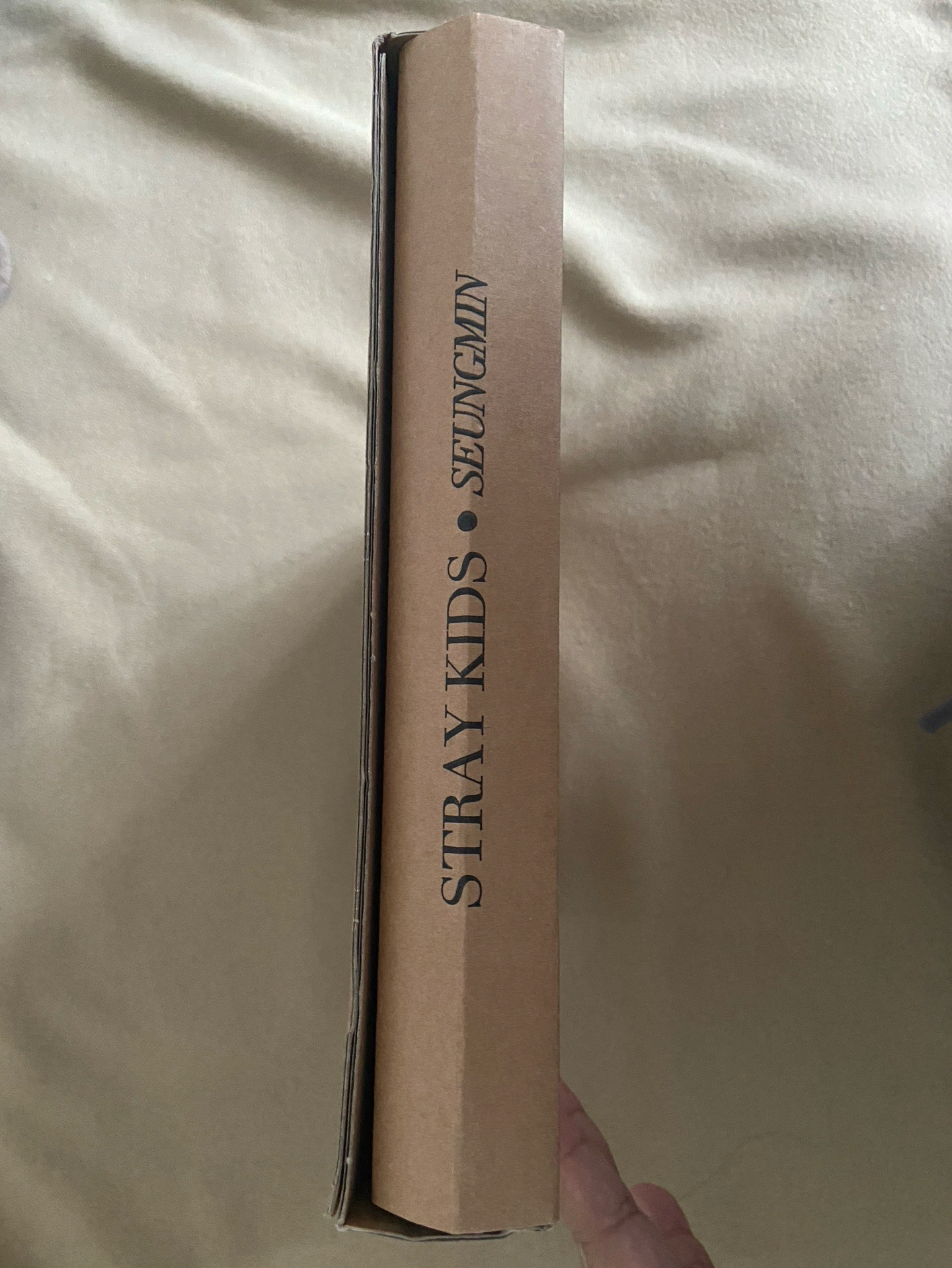 DICON 10週年 寫真集-Seungmin