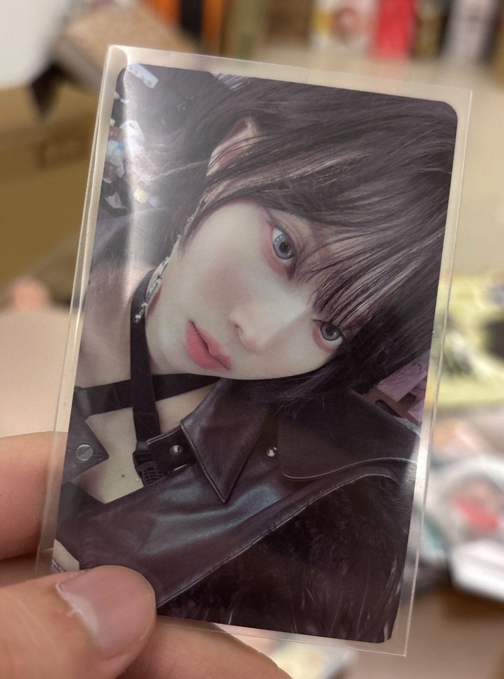 Whiplash kms 特典卡 預售v1冬 上岸冬